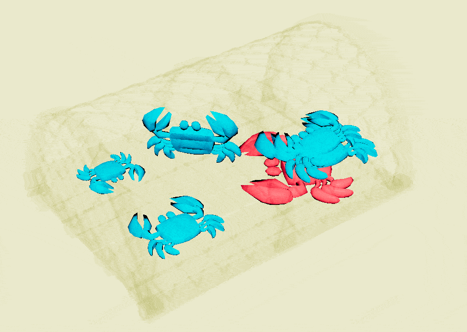 Dancing Crabs